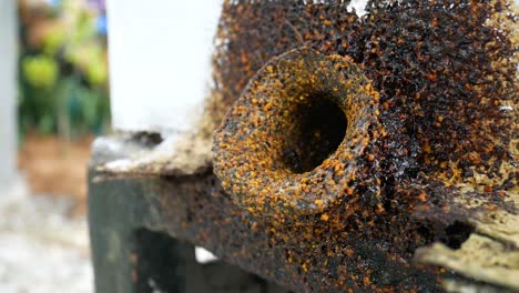 a close-up of stingless bees swarming around the entrance of a manmade hive. these bees are bred for their highly nutritious honey, buzzing actively near their nest opening.