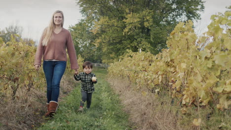 a woman leads her son by the hand, walking through the vineyard. baby eats an apple