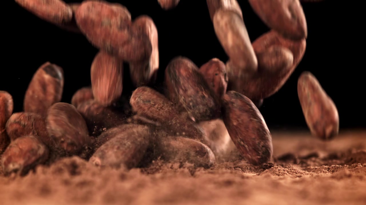 Raw Cocoa Beans Falling onto a Bed of Cocoa Powder in Slow Motion