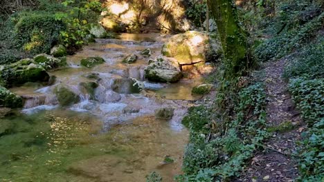 caminar en fores con río en corfú grecia