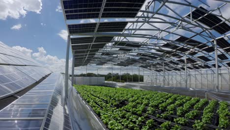 solar-powered greenhouse with hydroponic vegetables
