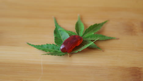 slow motion hand placing cbd gummy gently on marijuana leaf, wooden tabletop