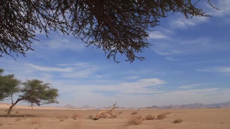 il sahara dell'algeria