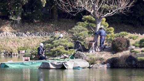 gardener tending to plants near a peaceful water body