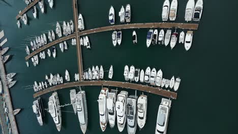 aerial flying over marina located at varazze, liguria