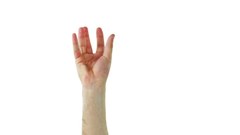 close-up of hands gesturing