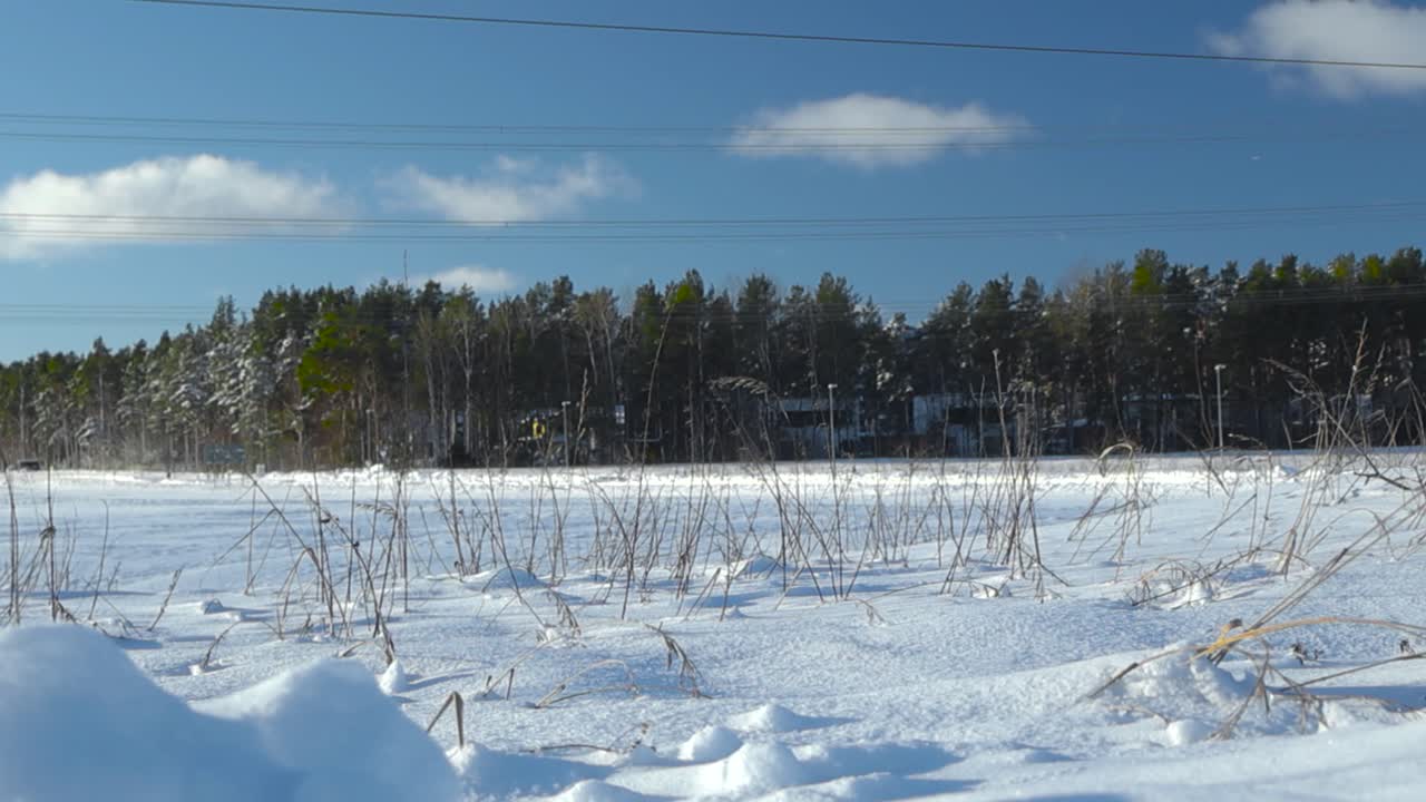 Low angle footage of white thick, dense fluffy snow covering a field during a winter sunny day with trees far away in the back and blue sky visible. Tall brown wheat grass growing through the snow.