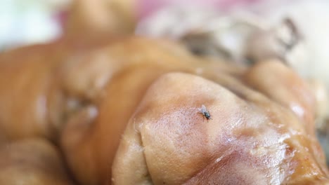 a fly sits on a pig's head, unmoving.