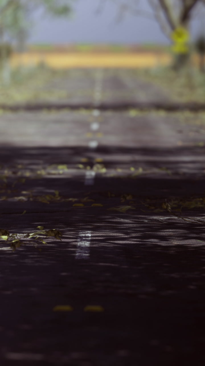 Path through grass under trees in a natural setting during daytime