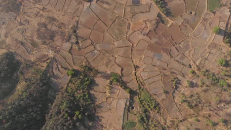 Top-down-drone-shot-of-dry-Indian-farmlands