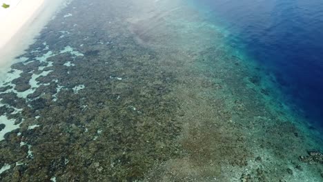 pintoresco de arrecifes de coral de aguas poco profundas a lo largo de la costa de isla privada de arena blanca