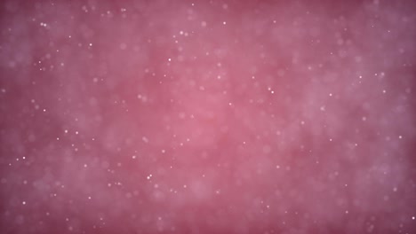 partículas de negocios blanco brillante brillo bokeh polvo abstracto de fondo bucle stock video