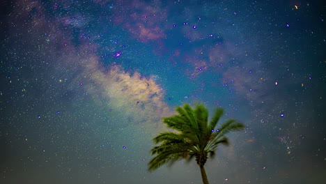 Date-Palm-Tree-Under-Milky-Way-In-Night-Sky