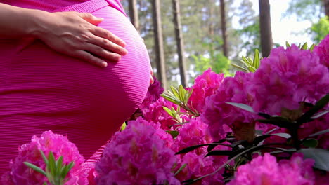 mujer embarazada vestida sostiene las manos en el vientre sobre el fondo natural del rododendro en el día de verano