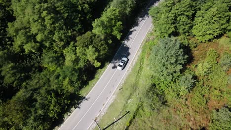 Aerial-view-of-the-road-passing-by-the-nature-side-black-sea-with-cars-and-trucks-passing-by-among-green-meadows-sunny-weather-sun-weather-afternoon-time