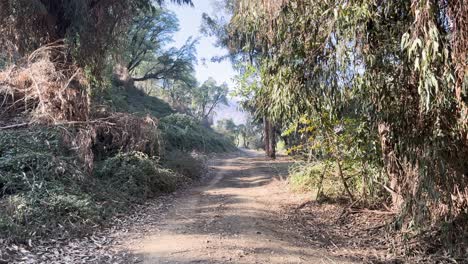 Farellones-Santiago-De-Chile-Río-Día-Naturaleza-árboles-Invierno