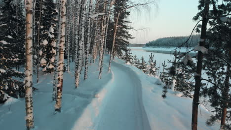 aéreo, disparo de dron, bajo, encima de una carretera, entre el bosque de abedules sin hojas y el congelado, orilla del río, en una tarde soleada de invierno, en utra, joensuu, pohjois-karjala, finlandia