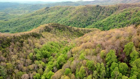 montañas apalaches, montañas blue ridge en primavera
