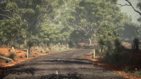 Camino-Que-Conduce-A-Través-De-Pequeñas-Colinas-En-El-Paisaje-De-Arbustos-Australianos