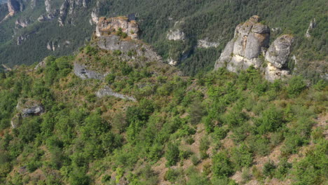 wild vulture griffon drifting through air aerial gorges du tarn