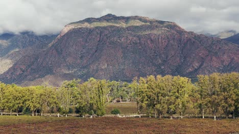 Avanzando-Sobre-Viñedos-Con-Un-Impresionante-Telón-De-Fondo-Montañoso