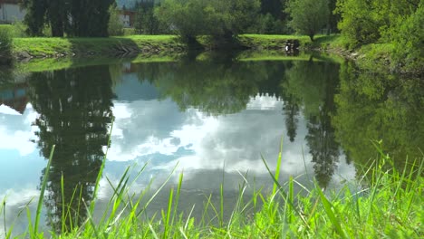 Impresionante-Paisaje-De-árboles-Frondosos-Y-Cielo-Nublado-Brillante-Que-Se-Refleja-En-El-Agua-Tranquila-Del-Lago-Con-Hierba-Verde-En-Primer-Plano---Tiro-Medio