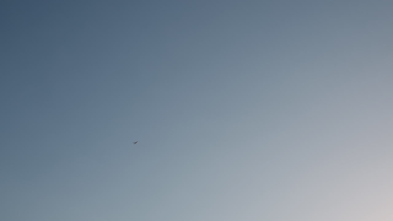 비행기 착륙 또는 이륙