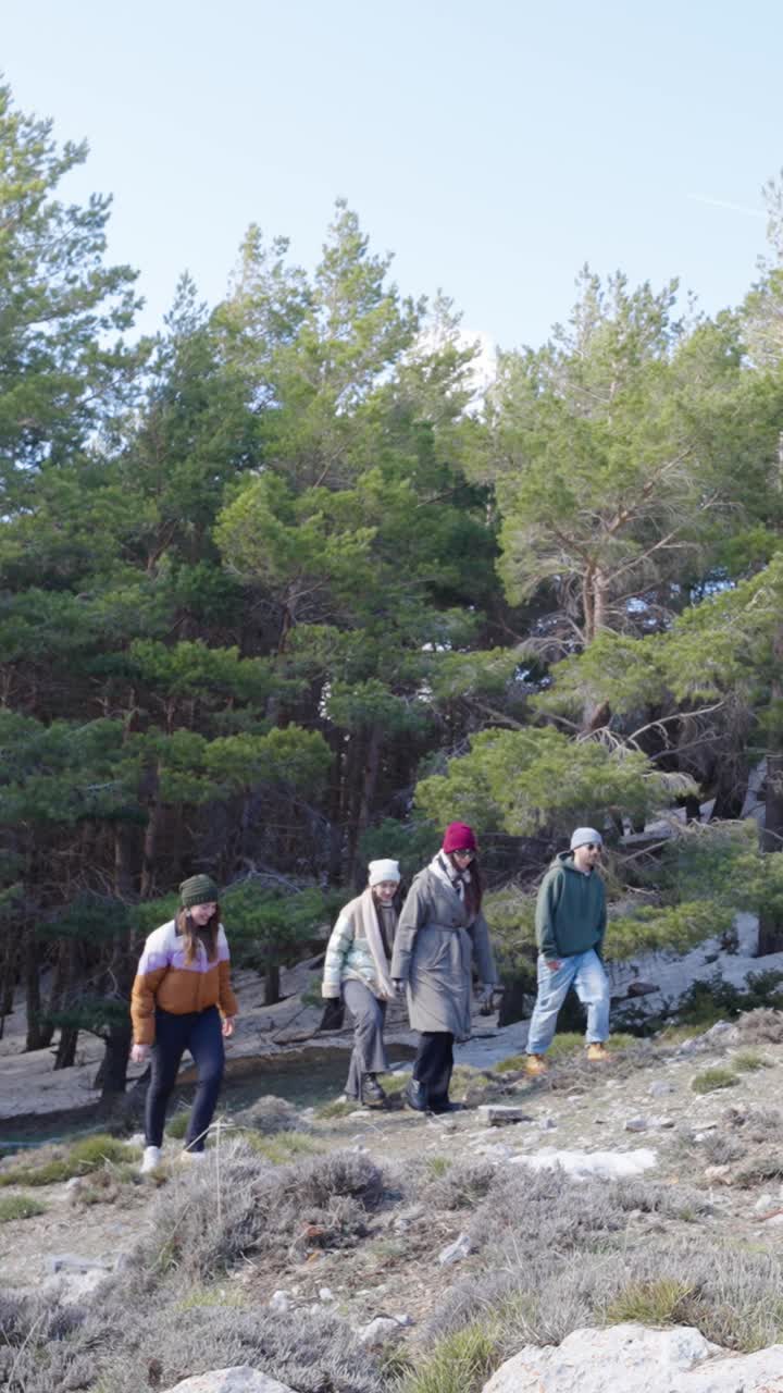 Group Hiking in Forest