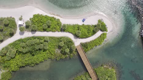 aerial topdown of peanut island park boardwalk and beach, florida