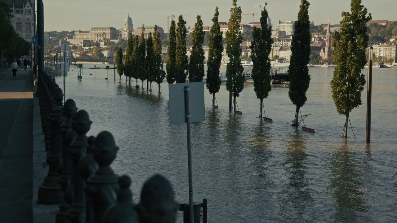 Rows of trees submerged in floodwater along the Danube with a distant view of Budapest during Budapest Flood 2024