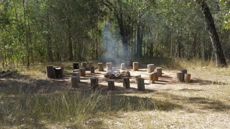 campfire with burning logs and smoke in the middle surrounded by the tree stumps as seating - camping area - mount byron, queensland, australia