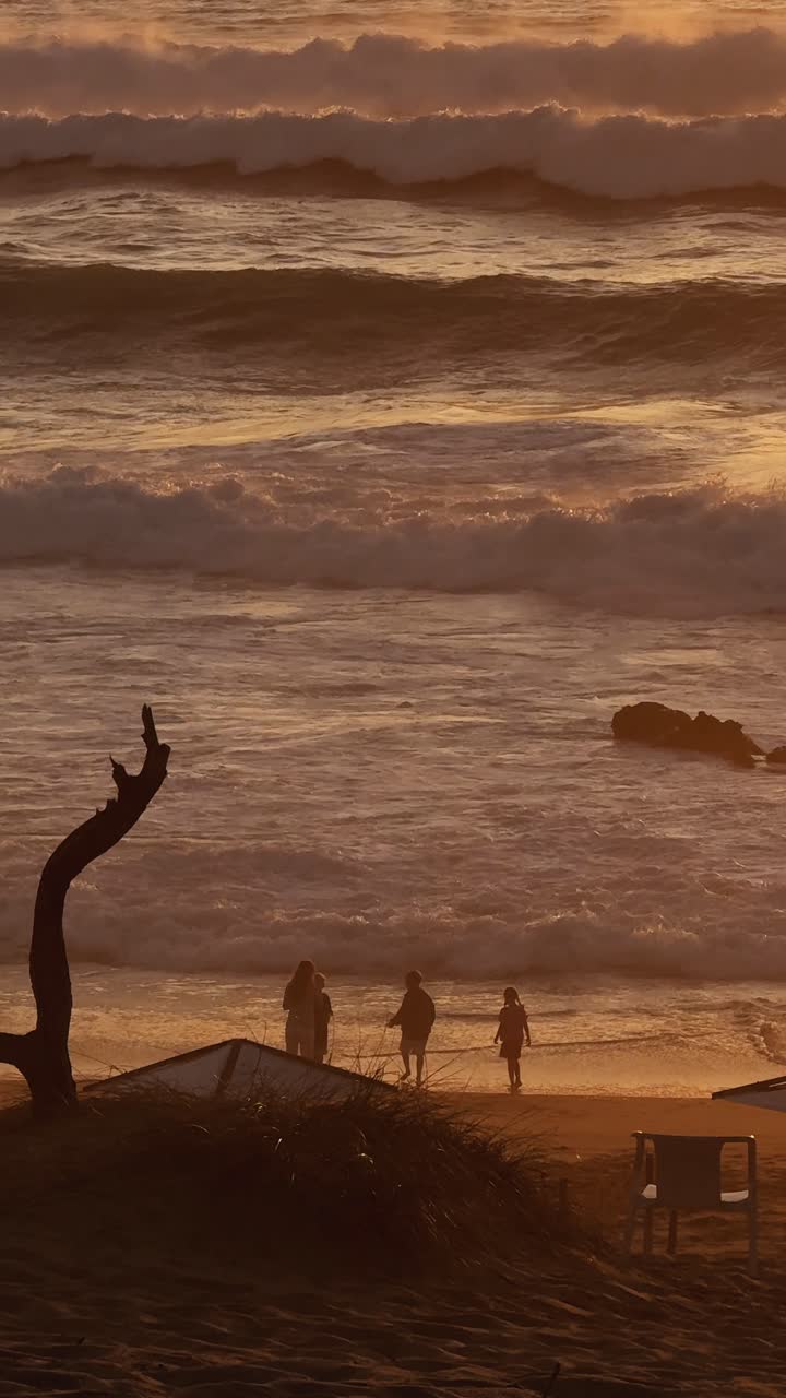 People enjoying the beach at sunset