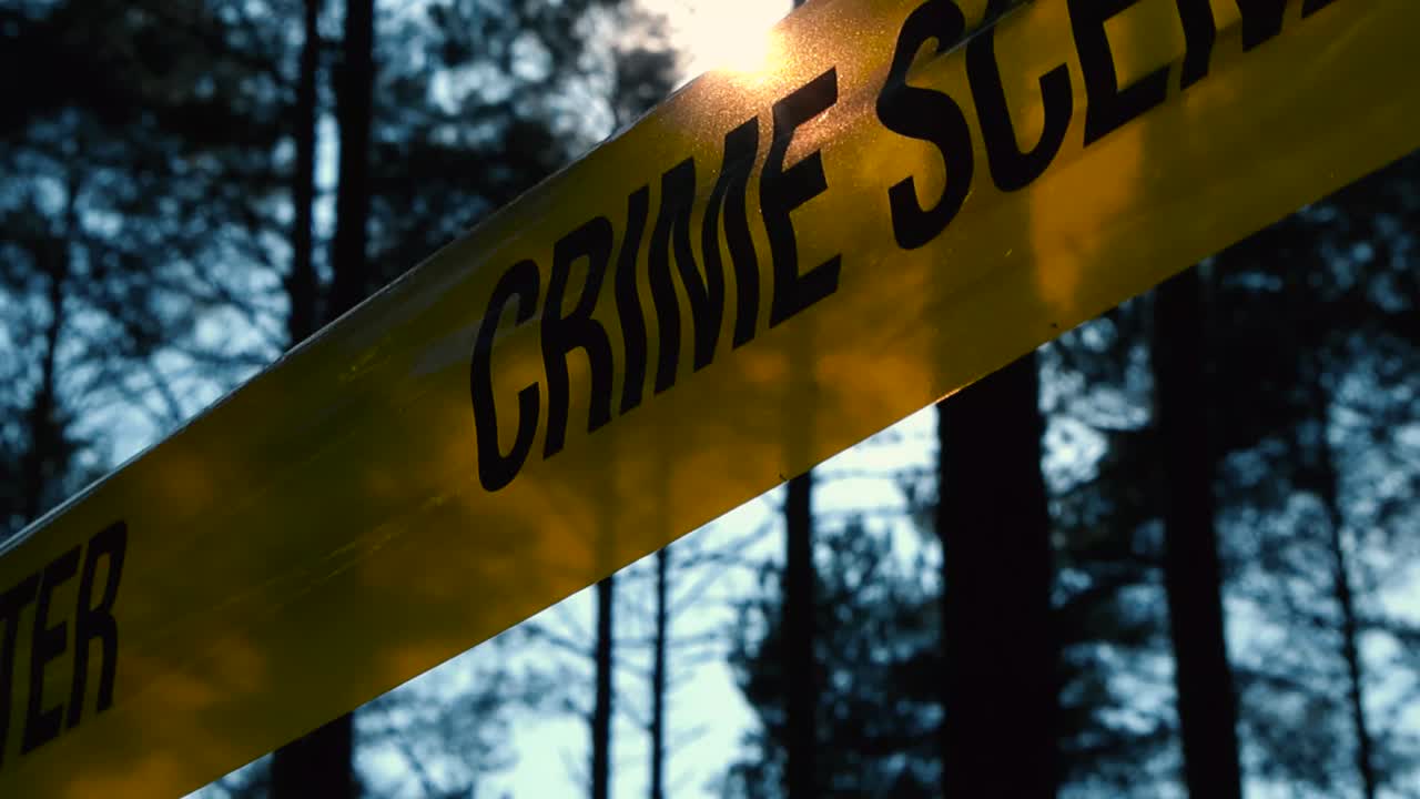 Gorgeous and eerie close up or closeup video footage of yellow crime scene Do Not Enter tape in a forest with tall black trees as silhouettes in the background with bokeh or blurry back, sun shining.