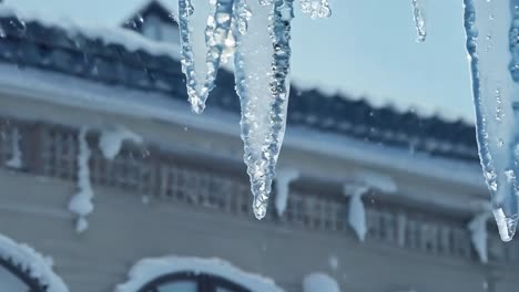 icicles melt on a building roof, with water dripping down on a cold winter day under a clear blue sky