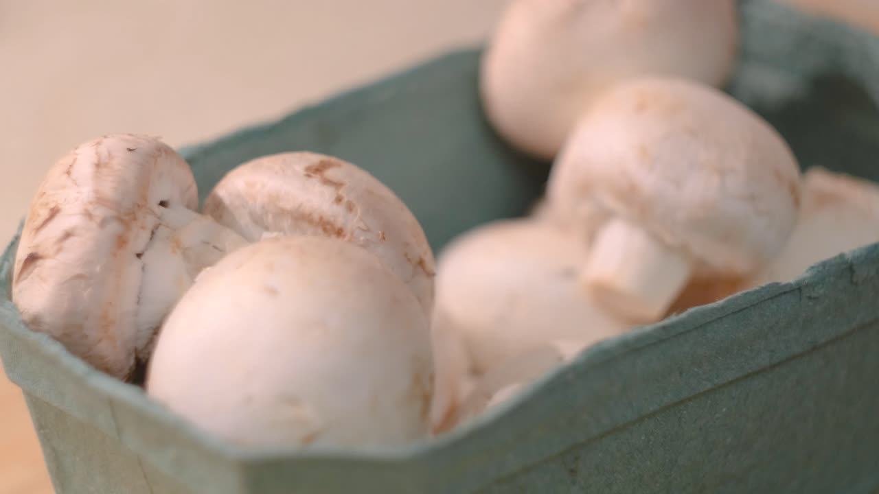 setas blancas frescas en un recipiente de cartón
