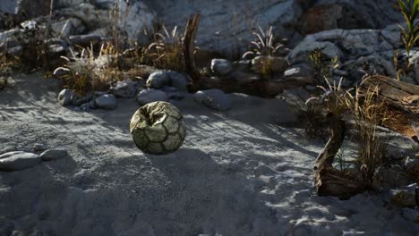 una vieja pelota de fútbol rota arrojada yace en la arena de la playa del mar