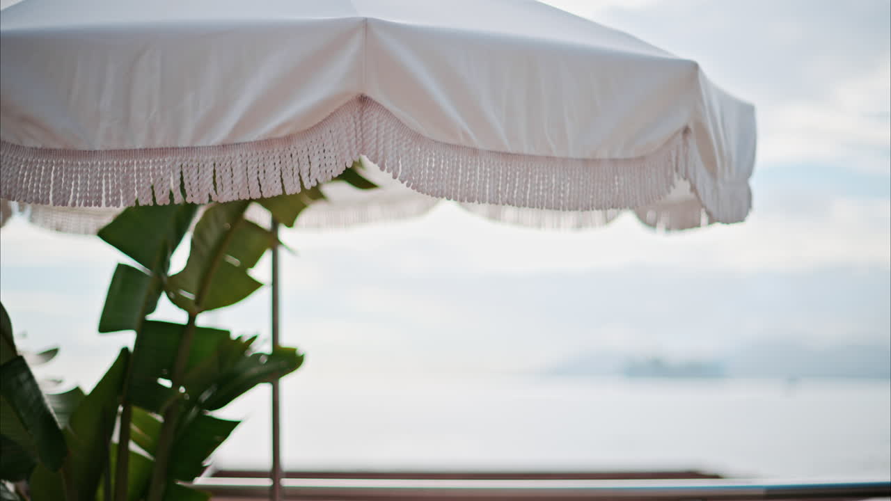White umbrella and a palm tree at a resort with the sea on the background