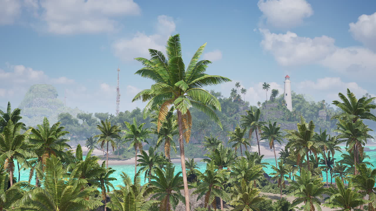 A scenic view of lush palm trees along the beautiful coastline in the bahamas