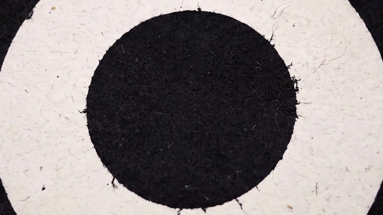 Close-up of a Black and White Concentric Circle Target