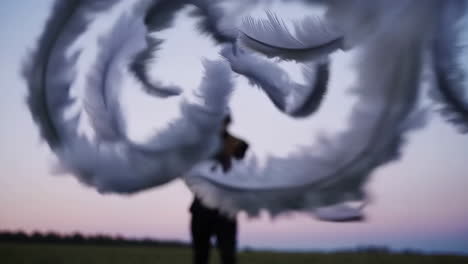 blurred silhouette of a person holding large floating feathers against a twilight sky