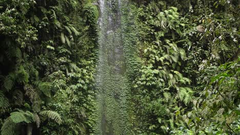 slow motion shot of a tall and thin waterfall coming down through the jungle of bali