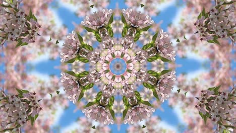 Kaleidoscope-geometric-animated-pattern-abstract-nature