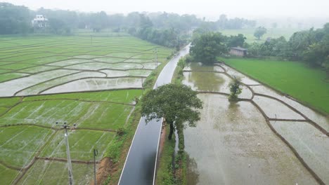 Car-through-a-road-in-paddy-fields-in-Mahiyangana-on-a-rainy-day