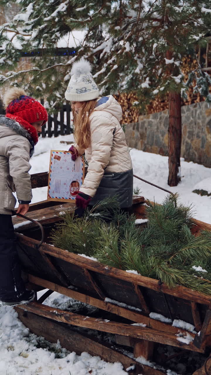 Children selecting Christmas trees on a snow sled