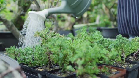 primer plano de un jardinero caucásico regando plantas en el centro del jardín