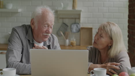 happy senior couple using laptop