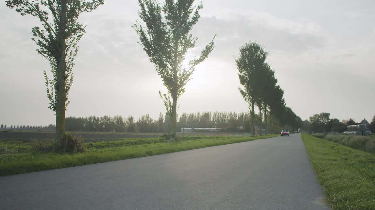 오래된 알파 로미오 카메라를 향해 운전