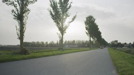 Viejo-Alfa-Romeo-Conduciendo-Hacia-La-Cámara