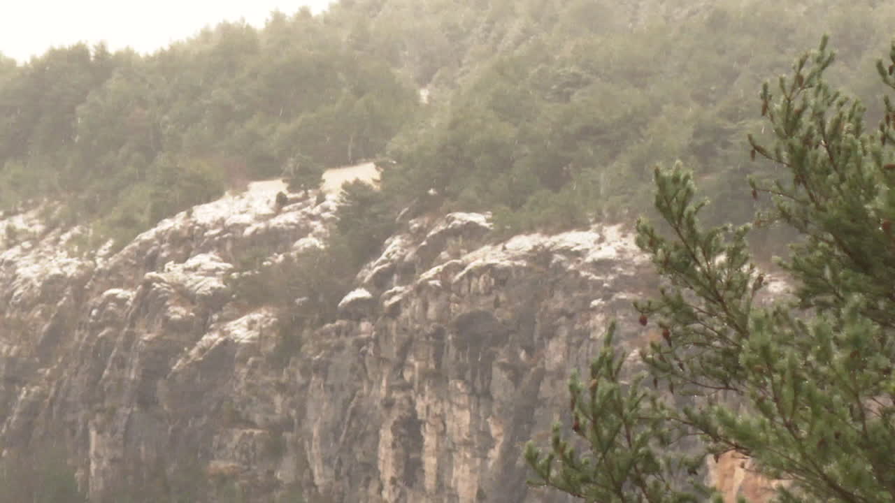 cordillera nevada con bosque