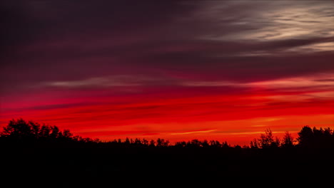 tiro de lapso de tiempo del cielo de color rojo detrás de los árboles del bosque y cubriendo las nubes oscuras